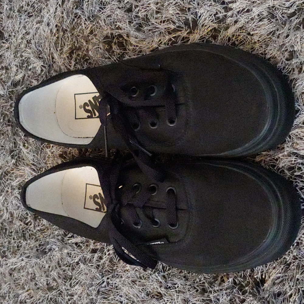 Vans shoes